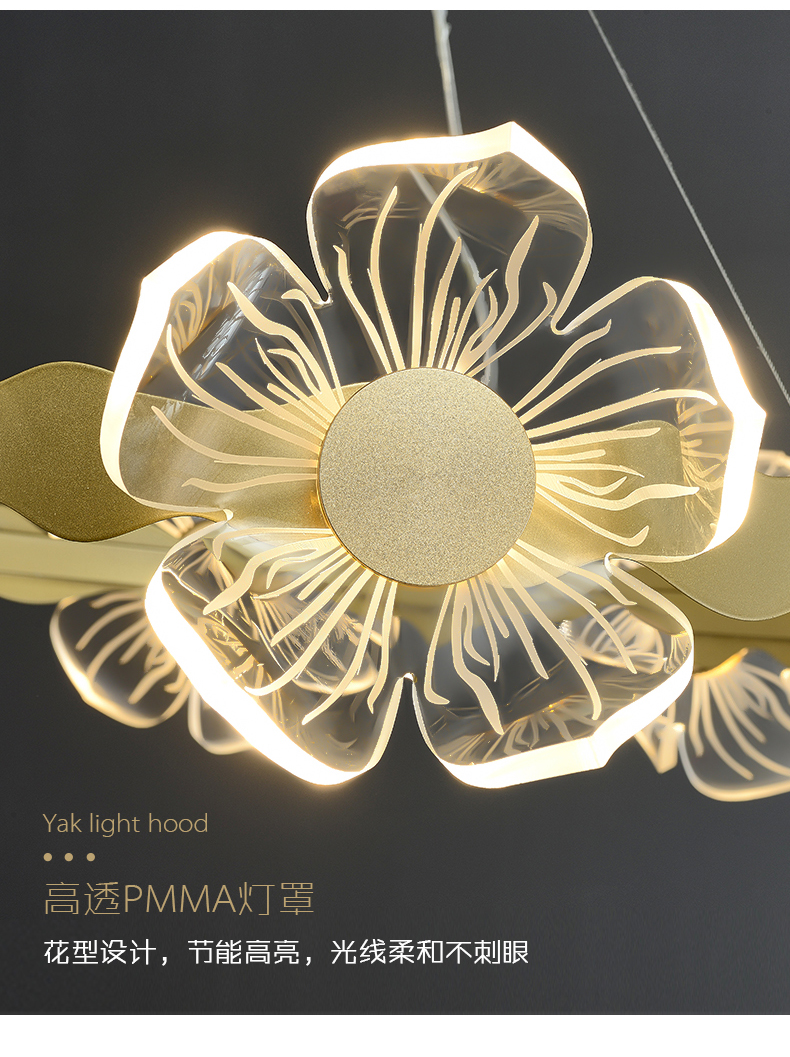 chandelier lighting modern lighting pendant light  led decoration light  11